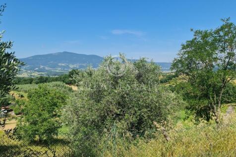 Panorama e Particolari