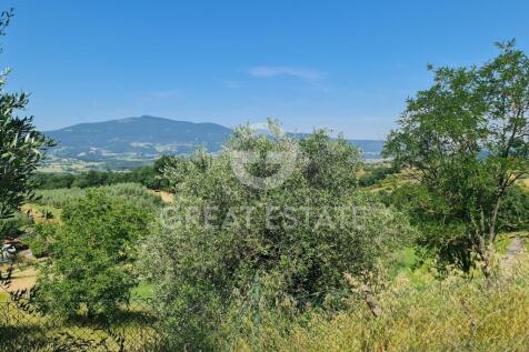 Panorama e Particolari