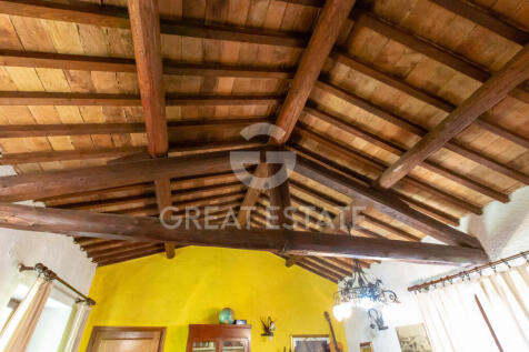 Panorama e Particolari