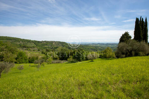 Panorama e Particolari