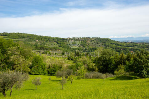 Panorama e Particolari