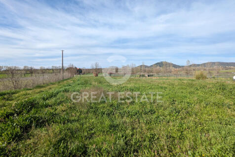 Panorama e Particolari