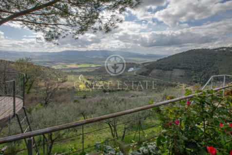 Panorama e Particolari