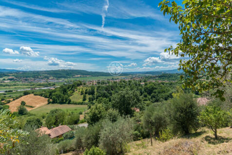 Panorama e Particolari