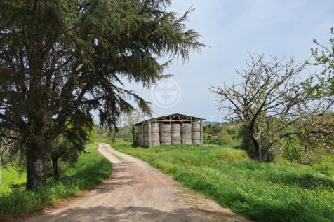 Esterno