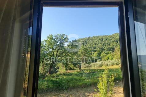 Panorama e Particolari