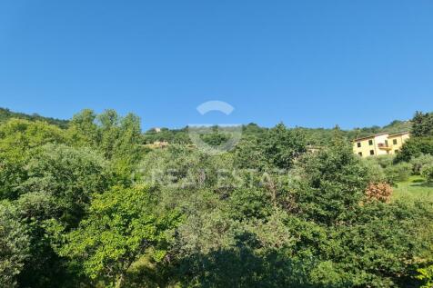 Panorama e Particolari