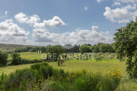 Panorama e Particolari