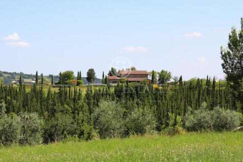 Esterno