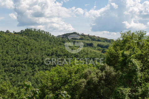 Panorama e Particolari