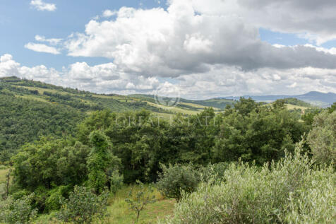 Panorama e Particolari