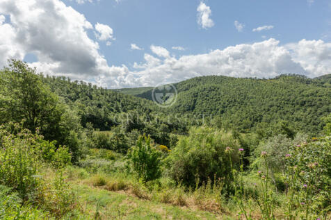 Panorama e Particolari