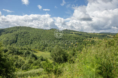 Panorama e Particolari