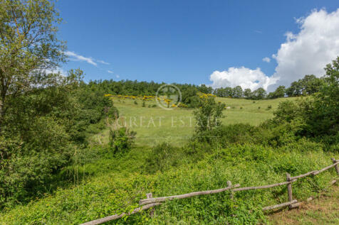 Panorama e Particolari