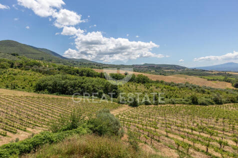 Panorama e Particolari