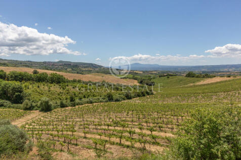 Panorama e Particolari