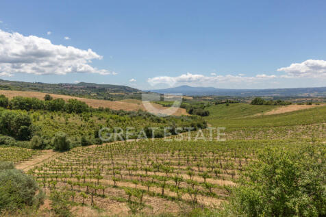 Panorama e Particolari