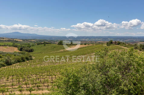 Panorama e Particolari