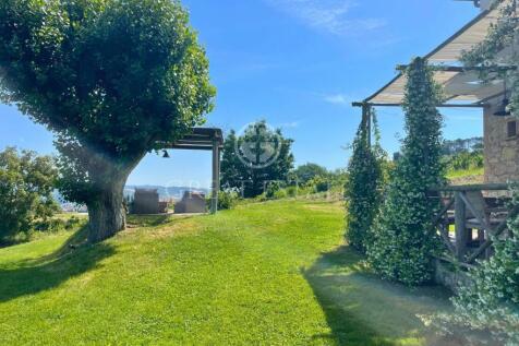 Panorama e Particolari