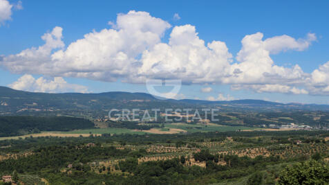 Panorama e Particolari