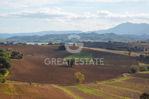 Panorama e Particolari