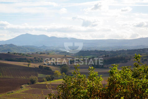 Panorama e Particolari