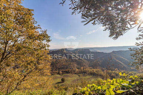 Panorama e Particolari