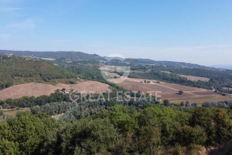 Panorama e Particolari
