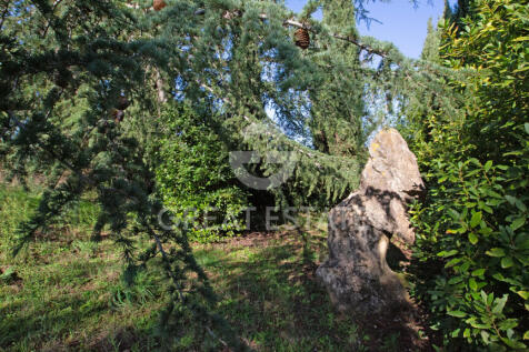 Panorama e Particolari