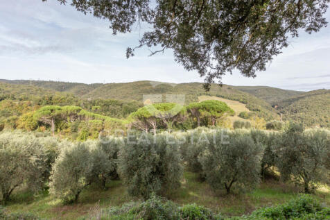 Panorama e Particolari