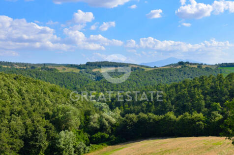 Panorama e Particolari
