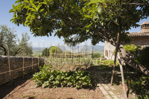 Esterno