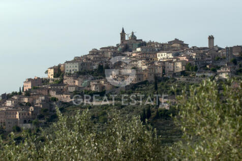 Panorama e Particolari