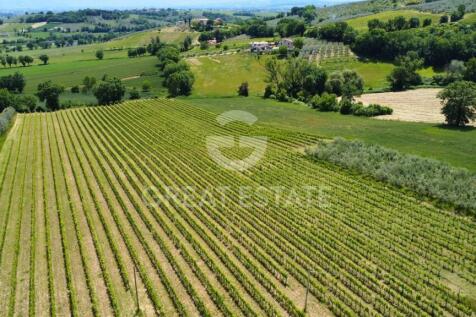 Panorama e Particolari