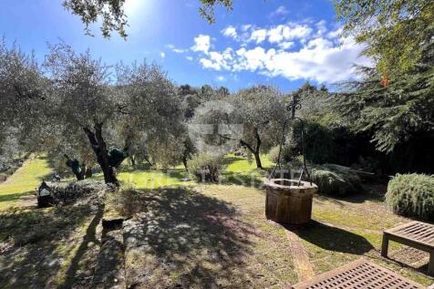 Panorama e Particolari