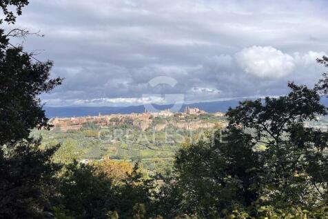 Panorama e Particolari