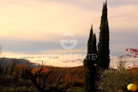 Panorama e Particolari