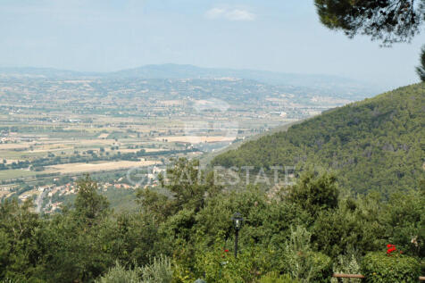 Panorama e Particolari