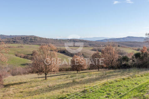 Panorama e Particolari