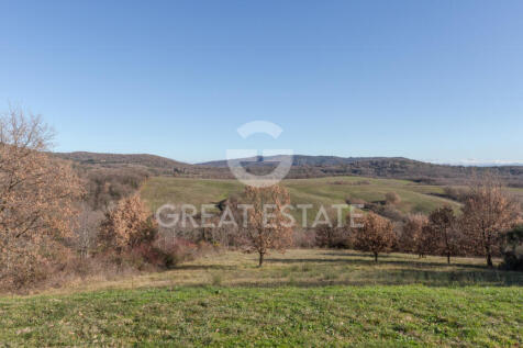 Panorama e Particolari