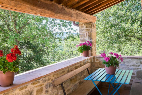 Panorama e Particolari