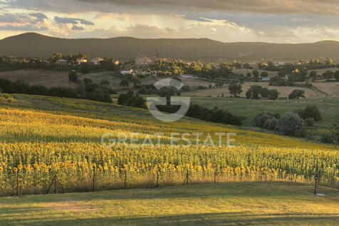 Panorama e Particolari