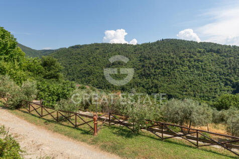 Panorama e Particolari