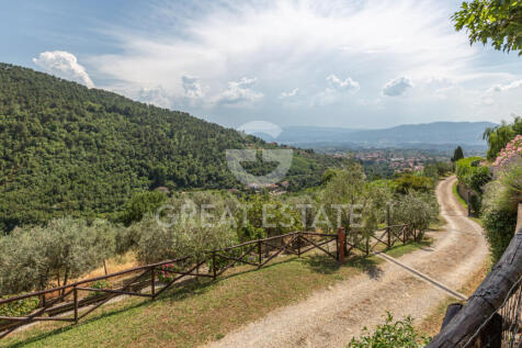 Panorama e Particolari