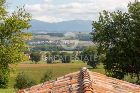 Panorama e Particolari