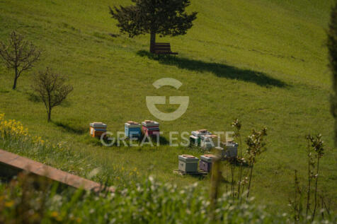 Panorama e Particolari