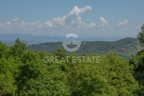 Panorama e Particolari