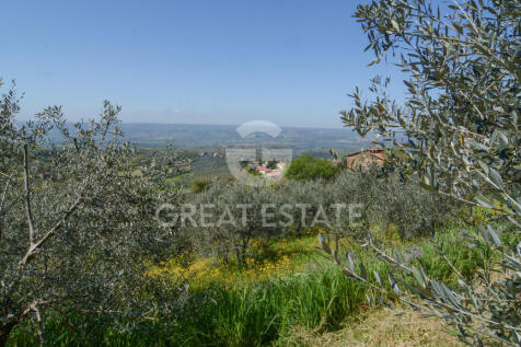 Panorama e Particolari