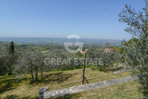 Panorama e Particolari