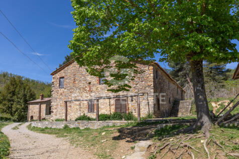 Esterno